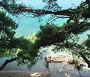 Villa Brela, Makarska Riviera