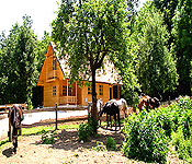 Apartments near Plitvice Lakes
