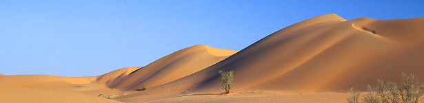 Desert Landscape Oman