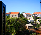 HV050