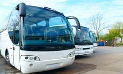 croatia bus coaches