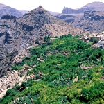 Jebel Akhdar