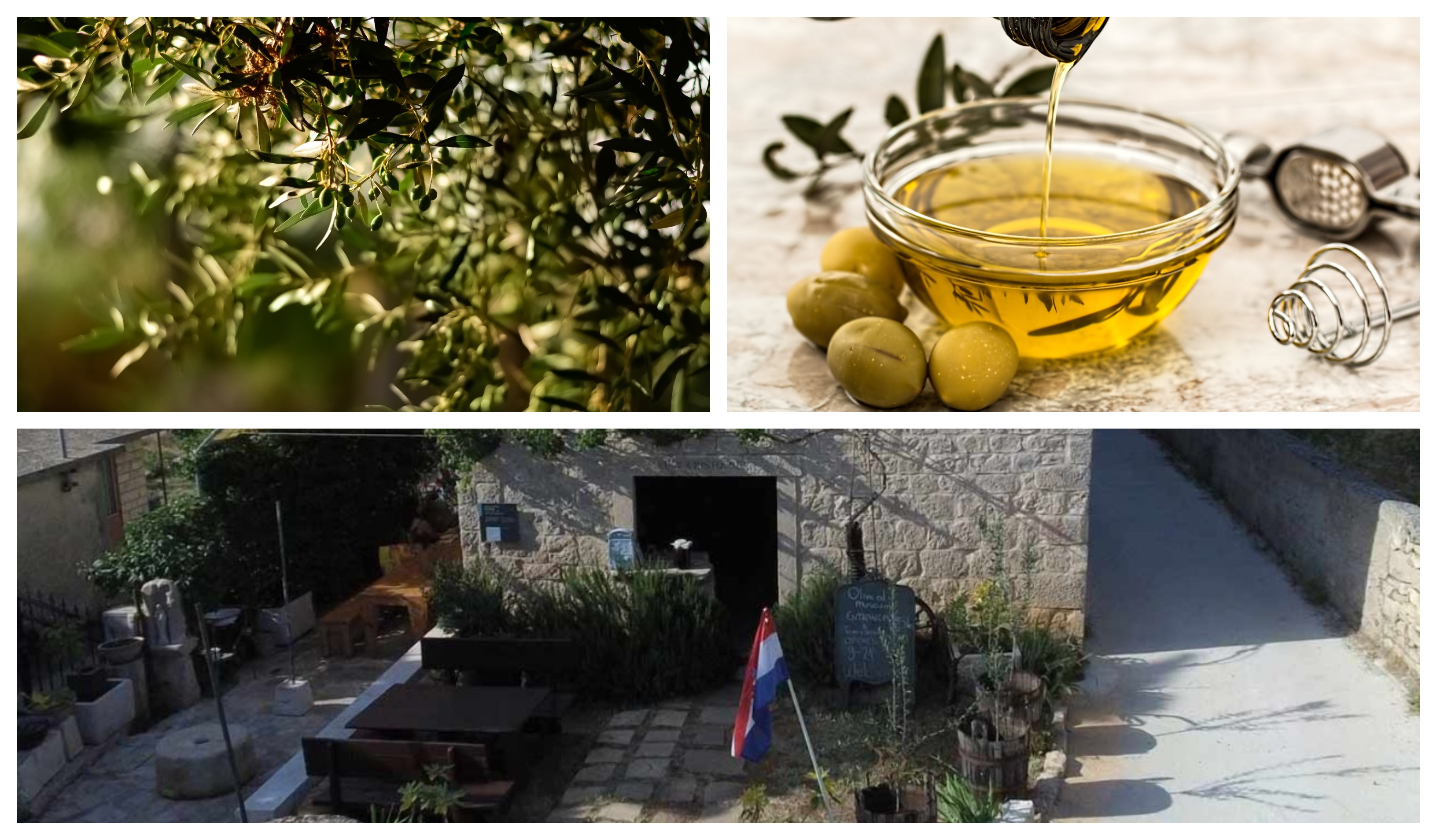 Olive Oil Museum - Brac Island